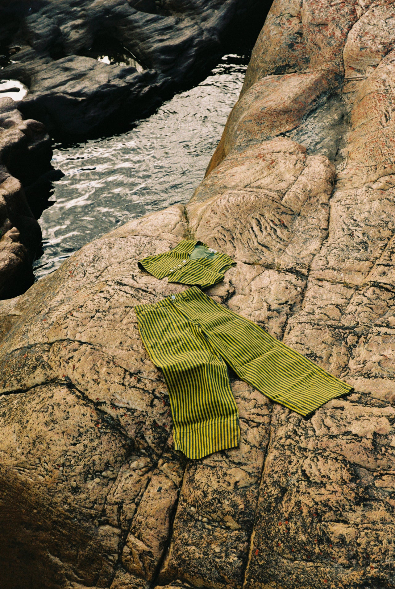The Striped Wildflower Set